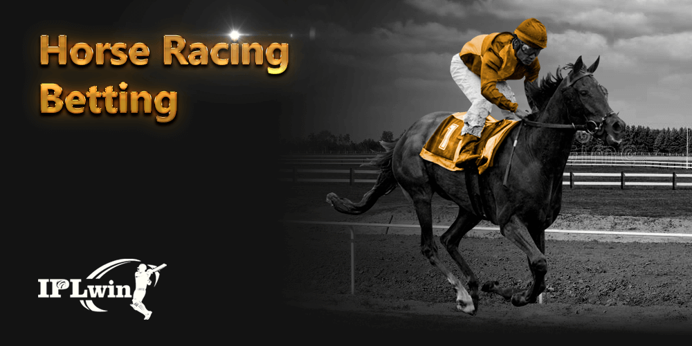 C77bet login